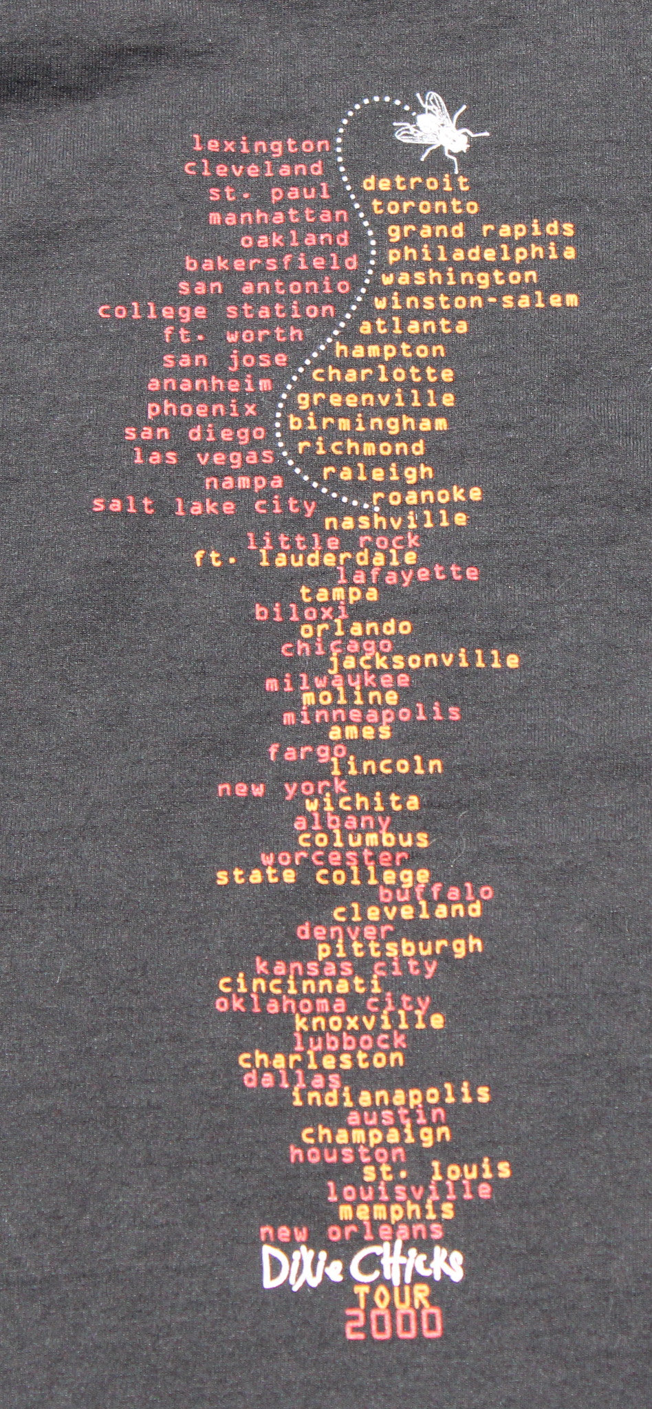 2000 Size Medium Dixie Chicks "Chicks Rule Tour" Tee Shirt