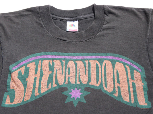 1992 Size Medium Shenandoah "Long Time Comin" Tee Shirt