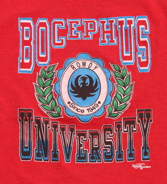 1991 Size XS Hank Williams Jr. "Bocephus University" Tee Shirt