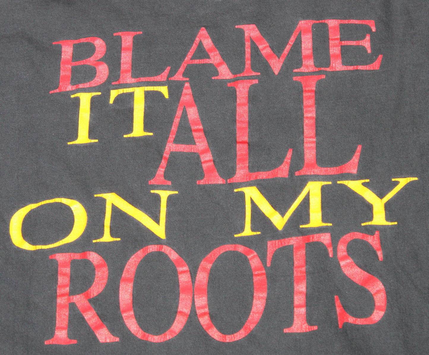 1996 Size Medium Garth Brooks "Blame It All On My Roots" Long Sleeve Shirt