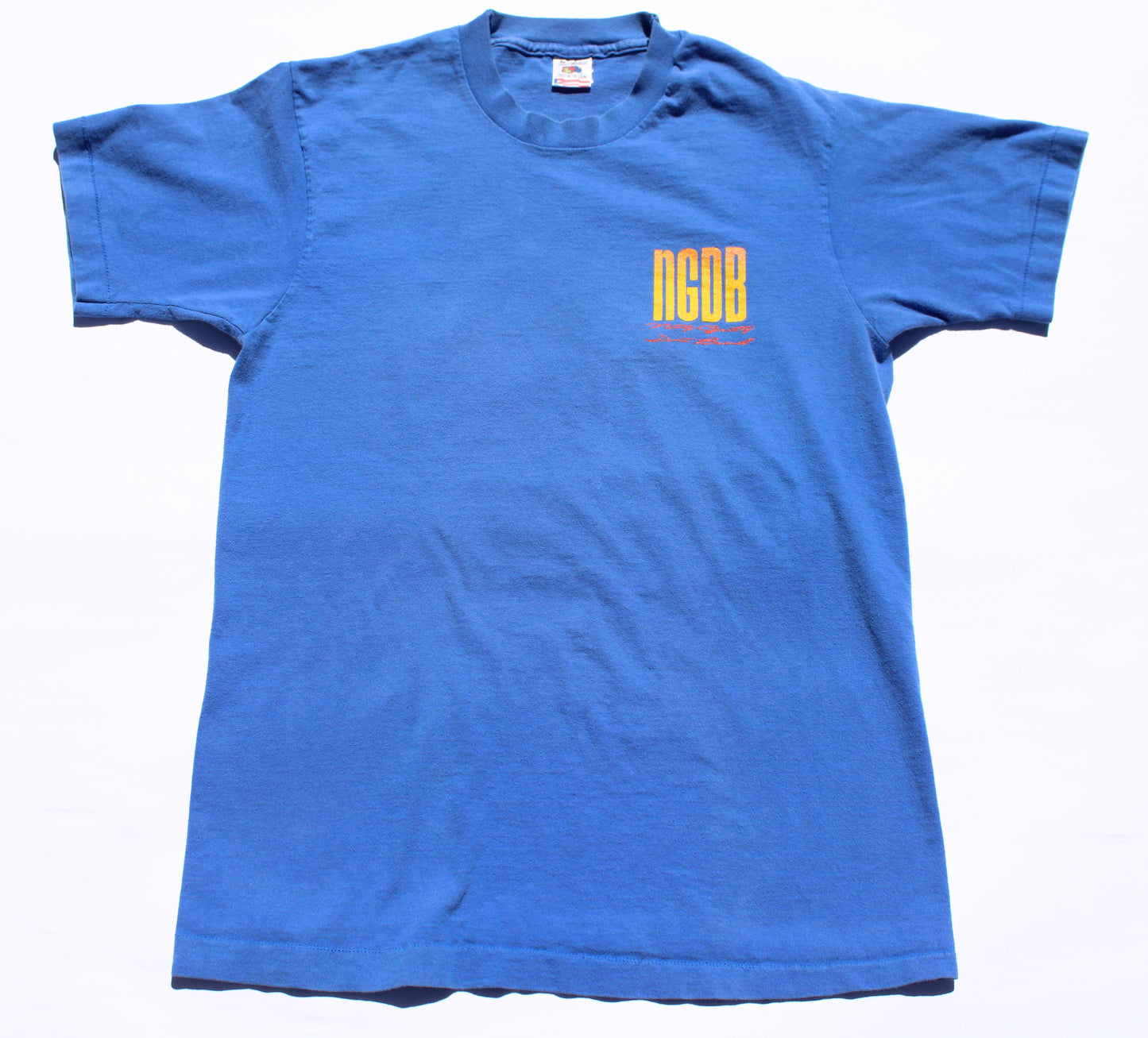 1990's Size Medium Nitty Gritty Dirt Band "Finshin' In The Dark" Tee Shirt