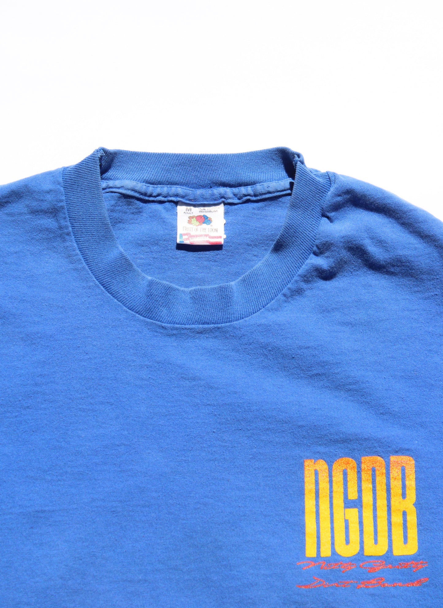 1990's Size Medium Nitty Gritty Dirt Band "Finshin' In The Dark" Tee Shirt